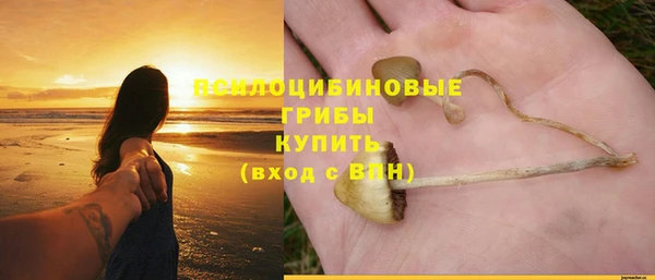 мет Гусиноозёрск