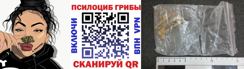 где купить наркотик  Заинск  Псилоцибиновые грибы ЛСД 