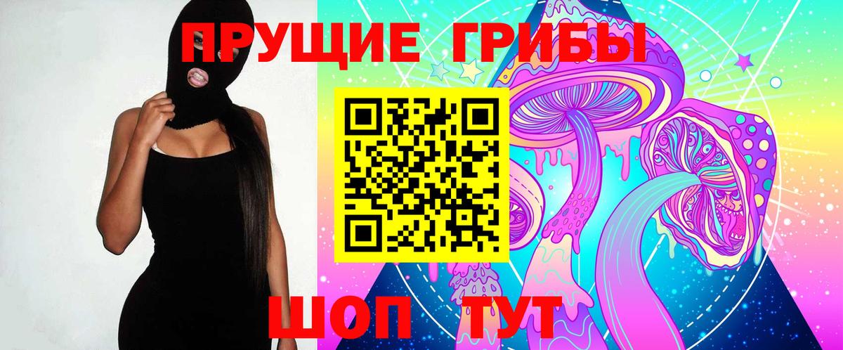 Псилоцибиновые грибы Psilocybe Заинск