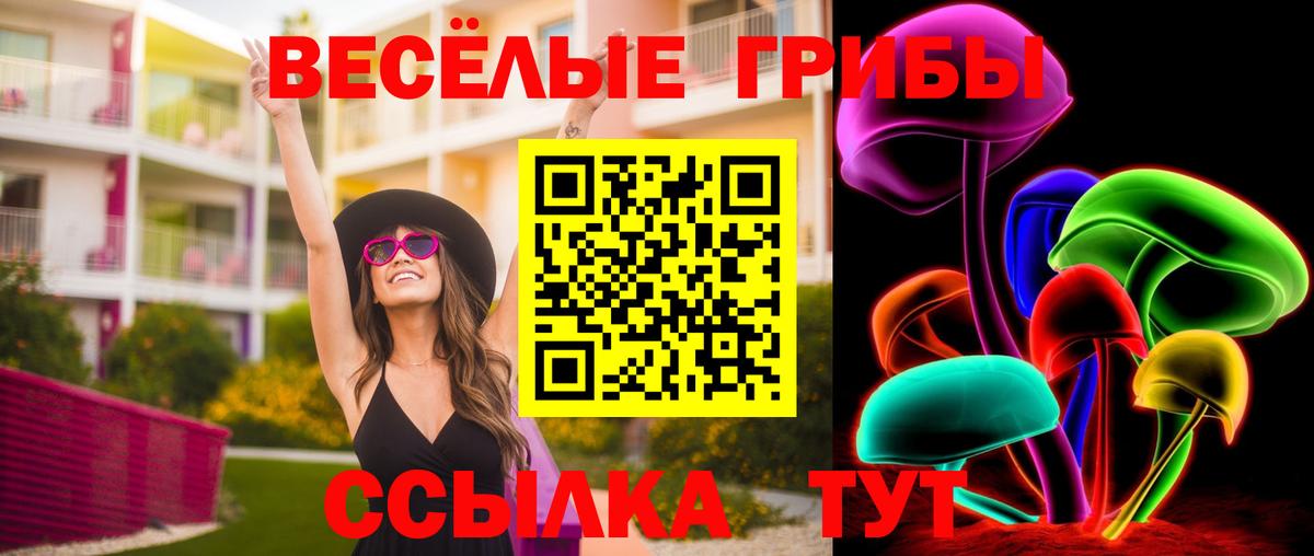 Галлюциногенные грибы прущие грибы  Псилоцибиновые грибы MAGIC MUSHROOMS  Заинск 