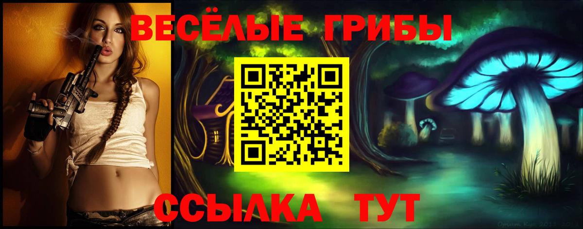 купить наркотики сайты  Вход с VPN  Заинск  Псилоцибиновые грибы Magic Shrooms 